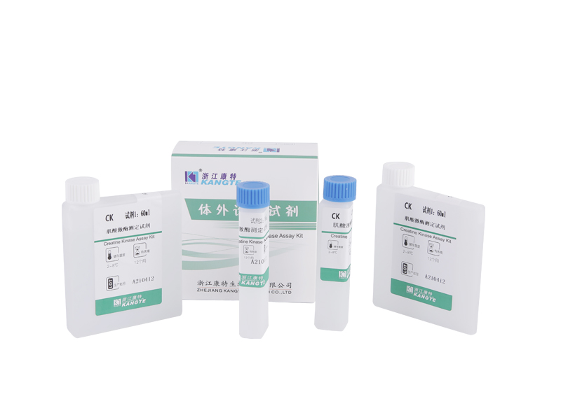 【CK】Kit de ensaio de creatina quinase (método de substrato de creatina fosfato)