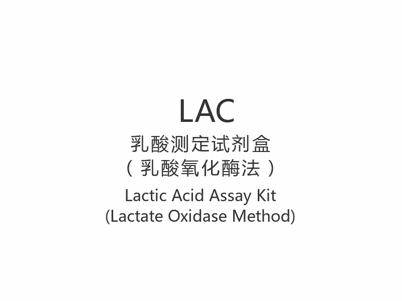 【LAC】Kit de ensaio de ácido láctico (método lactato oxidase)