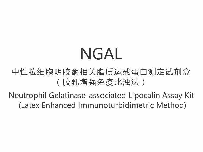 【NGAL】 Kit de ensaio de lipocalina associado à gelatina de neutrófilos (método imunoturbidimétrico aprimorado com látex)