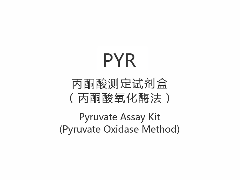 【PYR】 Kit de ensaio de piruvato (método piruvato oxidase)